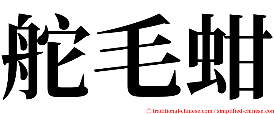 舵毛蚶 serif font