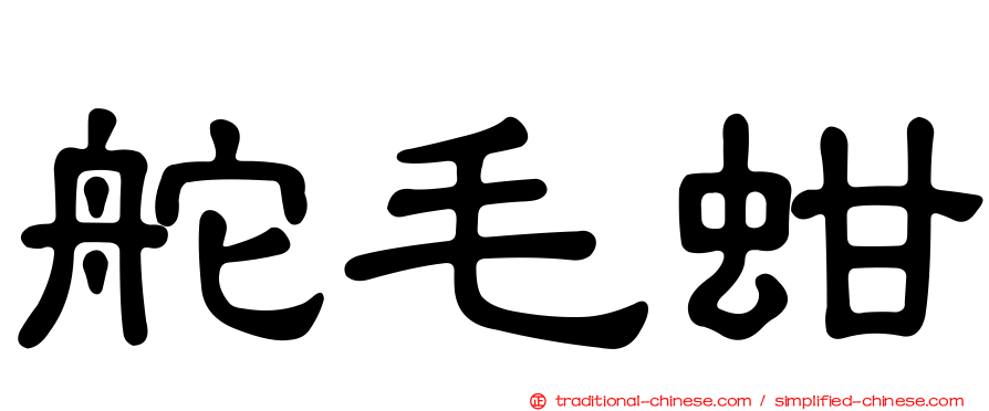 舵毛蚶