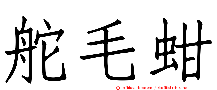 舵毛蚶