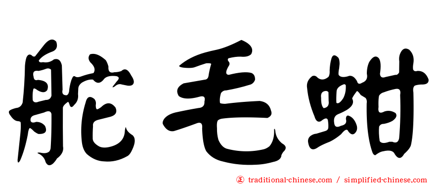 舵毛蚶