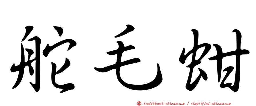 舵毛蚶
