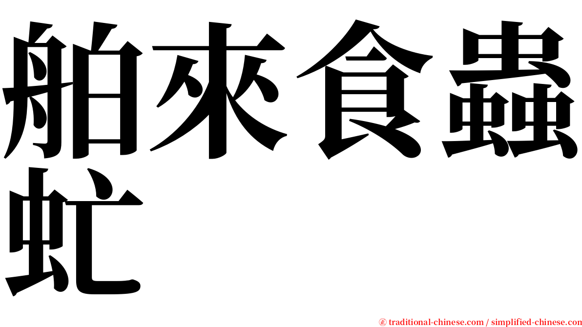 舶來食蟲虻 serif font