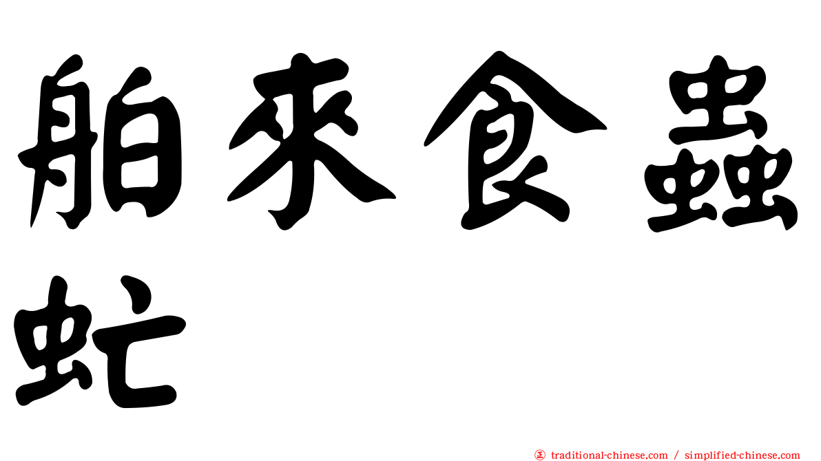 舶來食蟲虻