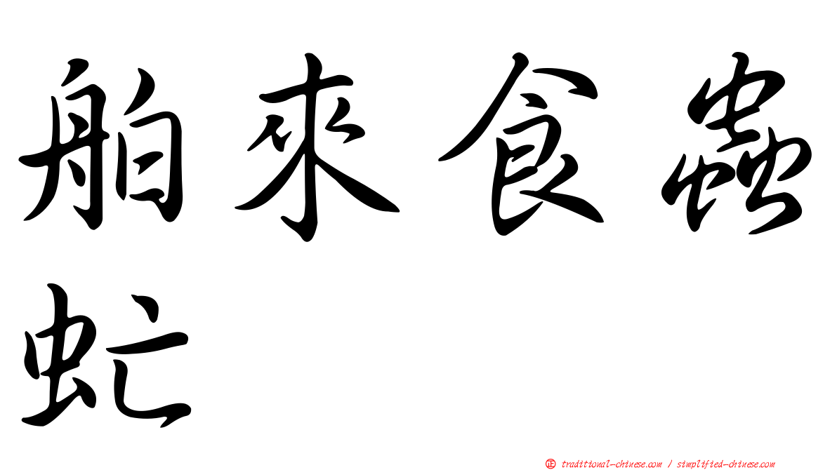 舶來食蟲虻