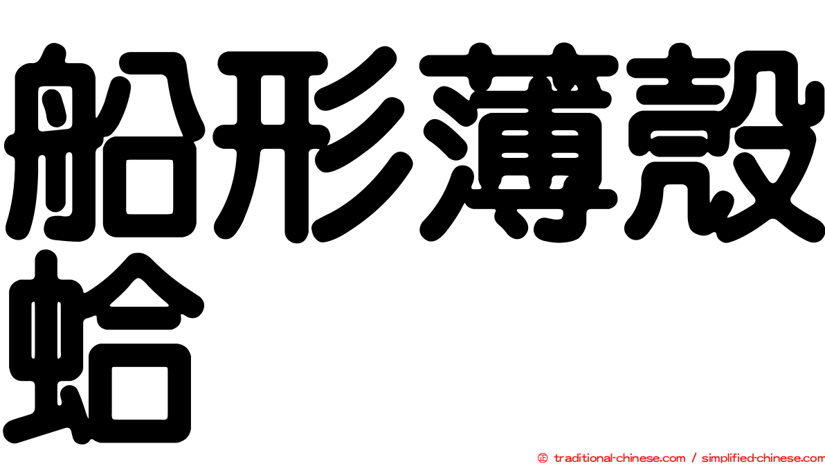 船形薄殼蛤