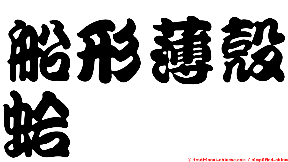 船形薄殼蛤
