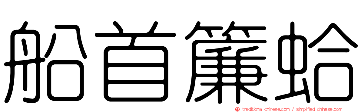 船首簾蛤