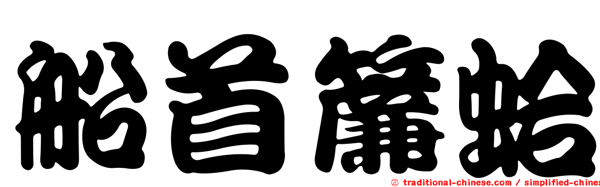 船首簾蛤