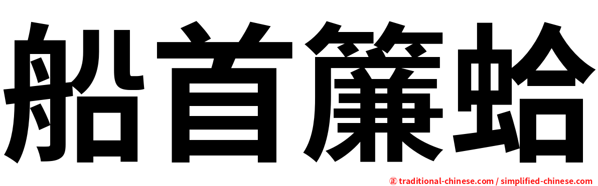 船首簾蛤