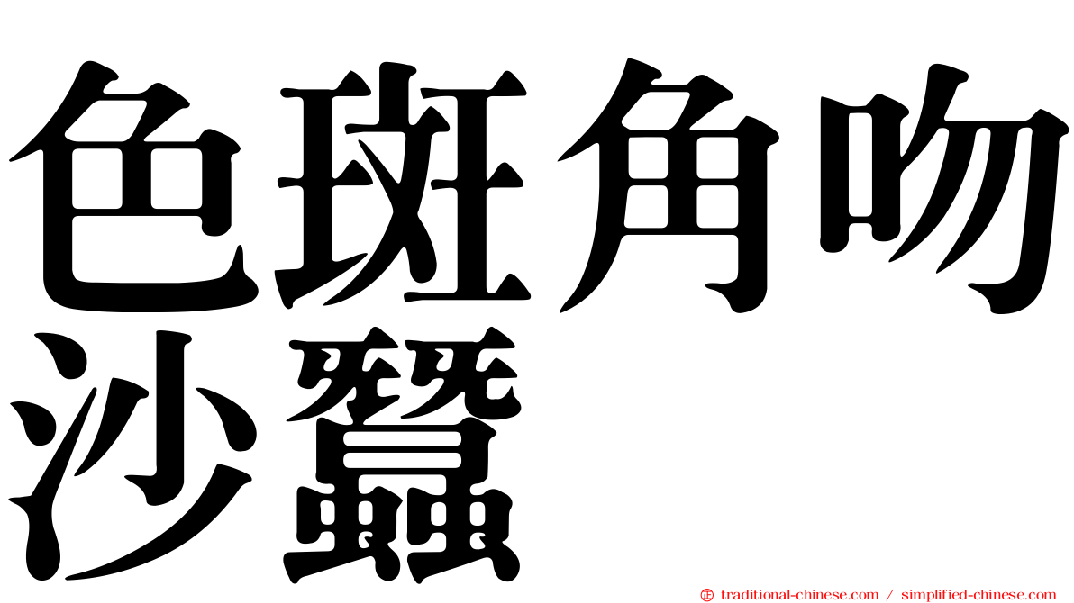 色斑角吻沙蠶