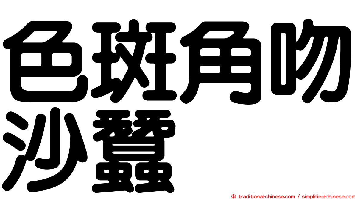 色斑角吻沙蠶