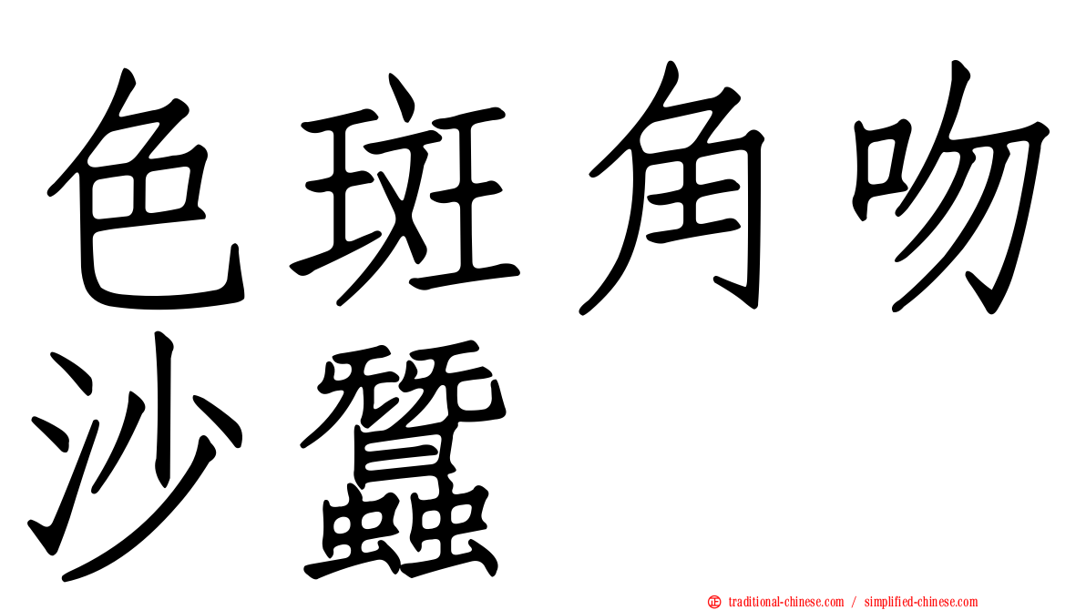 色斑角吻沙蠶