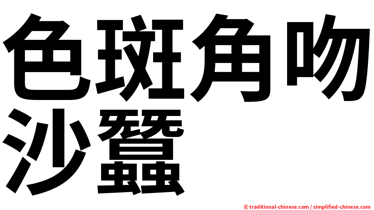 色斑角吻沙蠶