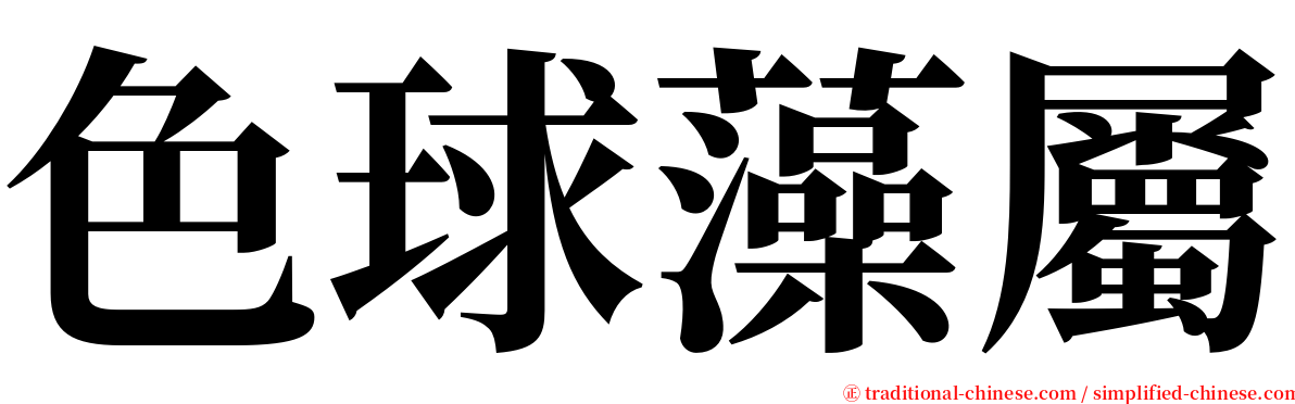 色球藻屬 serif font
