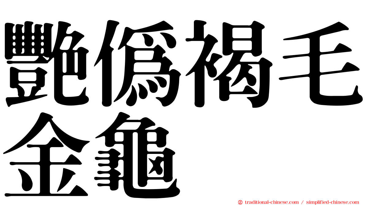 艷偽褐毛金龜