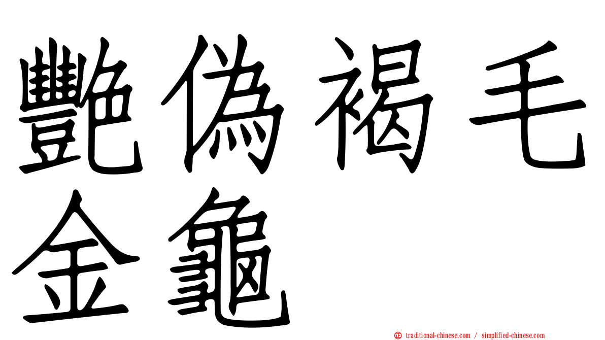 艷偽褐毛金龜