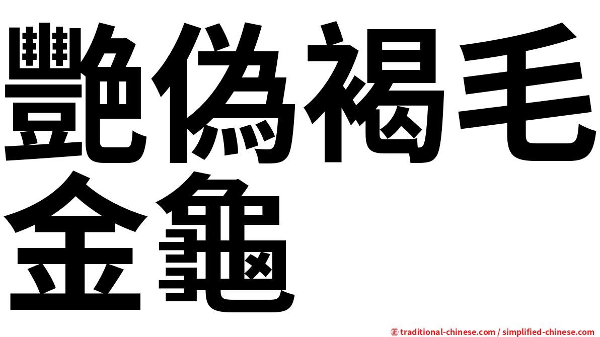 艷偽褐毛金龜