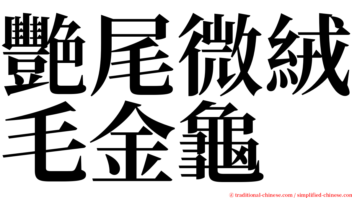 艷尾微絨毛金龜 serif font