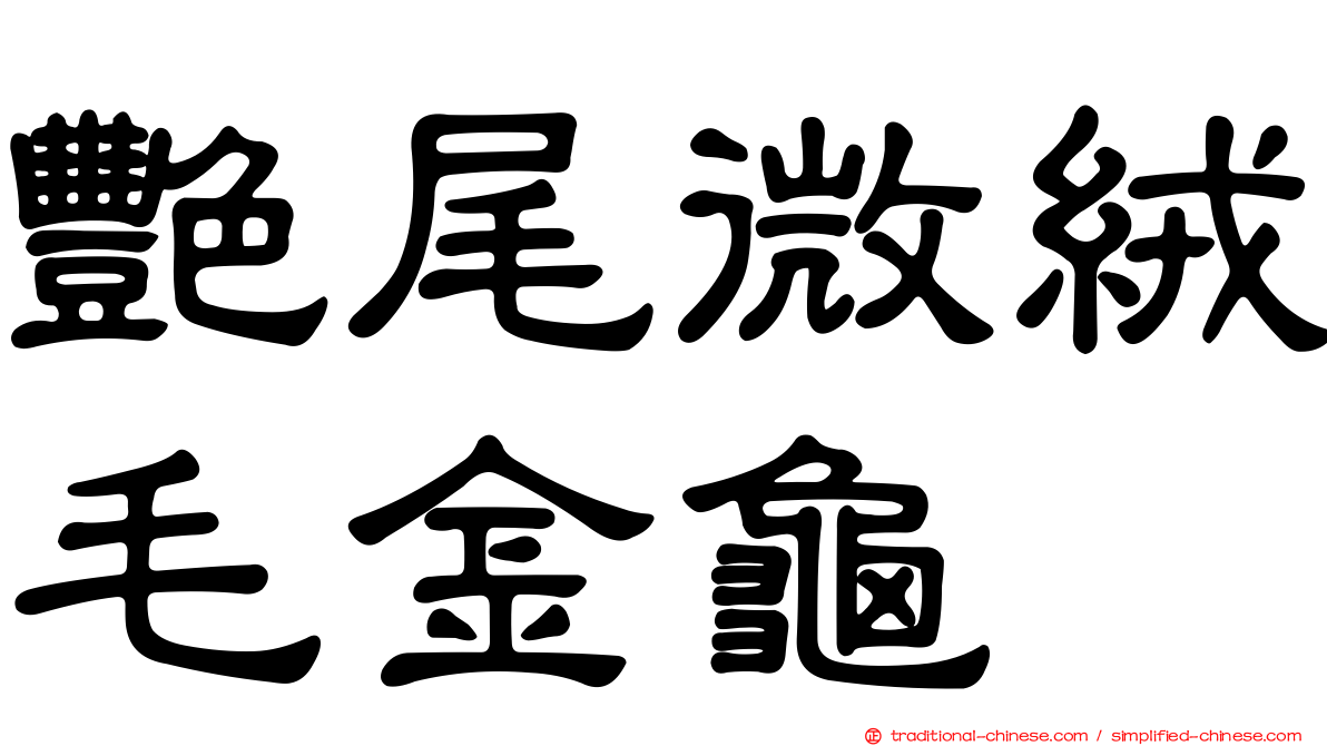 艷尾微絨毛金龜