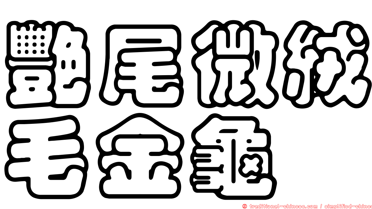 艷尾微絨毛金龜