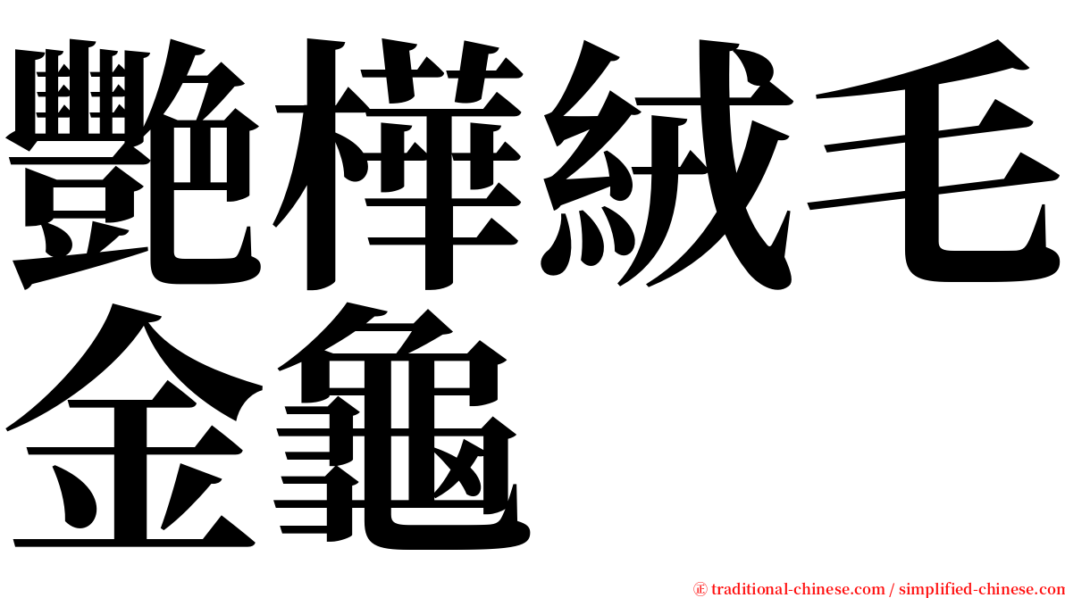 艷樺絨毛金龜 serif font