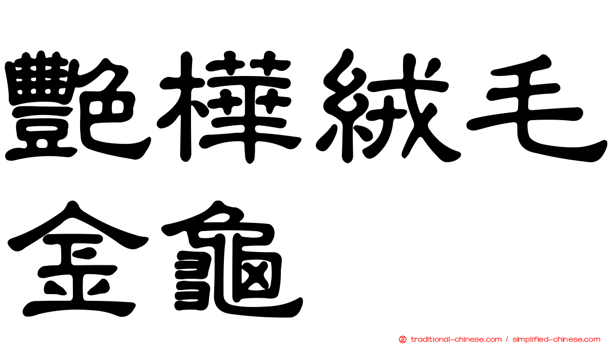 艷樺絨毛金龜