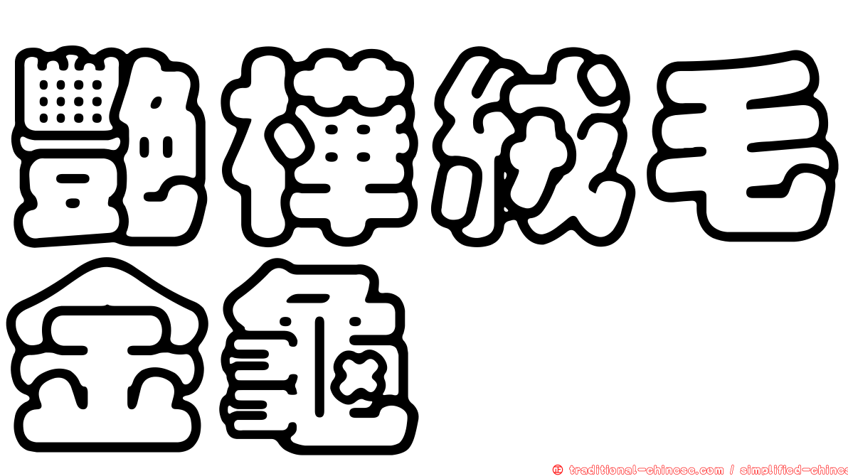 艷樺絨毛金龜