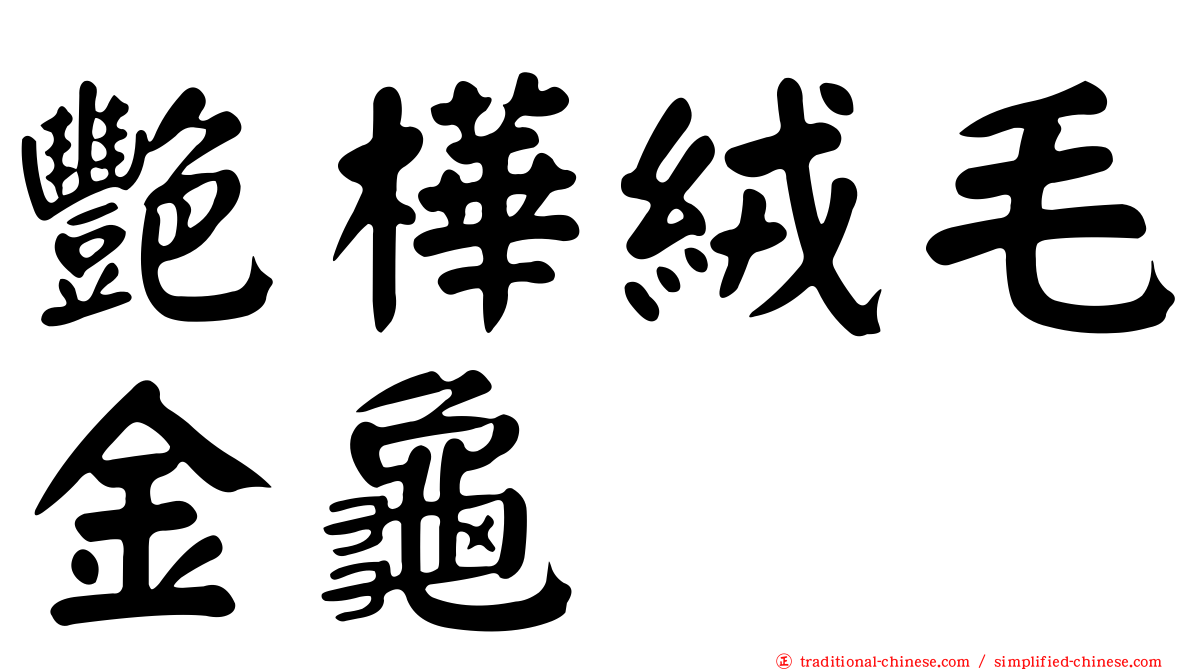 艷樺絨毛金龜