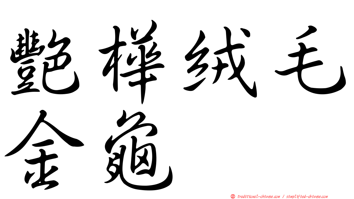 艷樺絨毛金龜