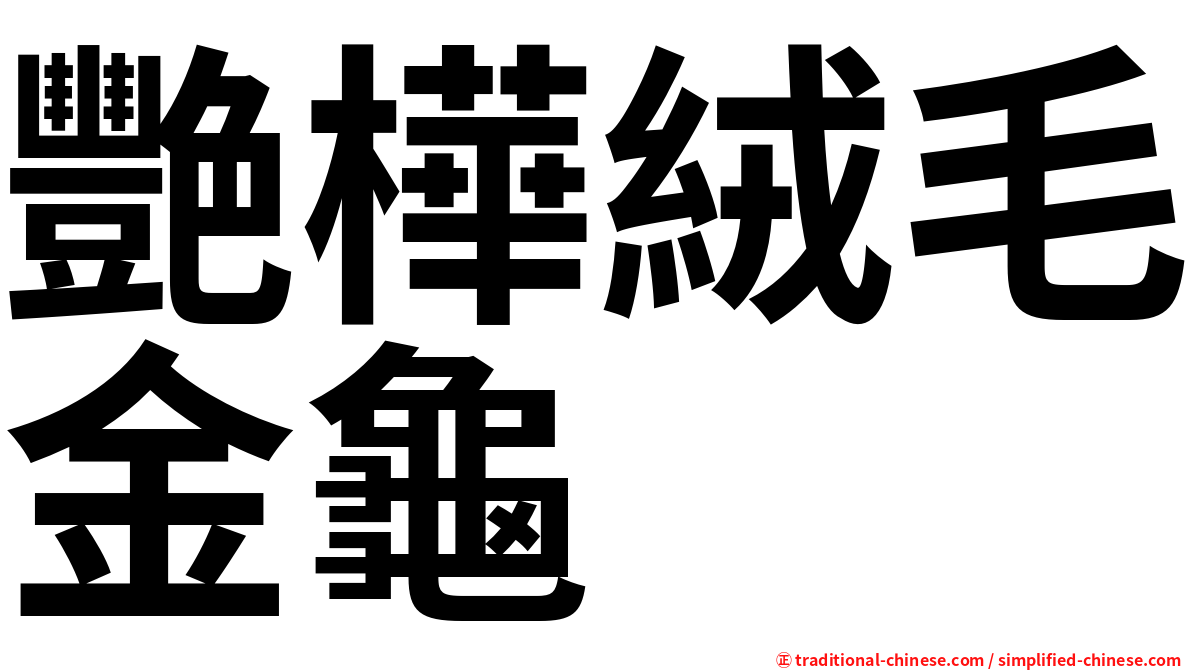 艷樺絨毛金龜