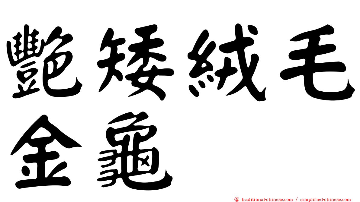 艷矮絨毛金龜