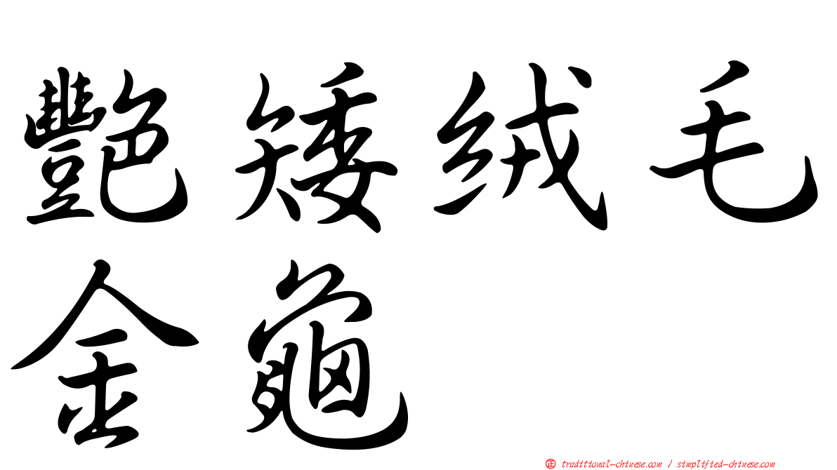 艷矮絨毛金龜