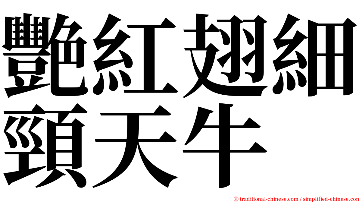 艷紅翅細頸天牛 serif font