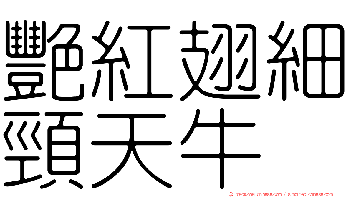 艷紅翅細頸天牛