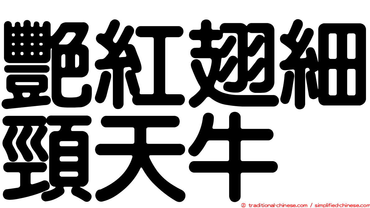 艷紅翅細頸天牛