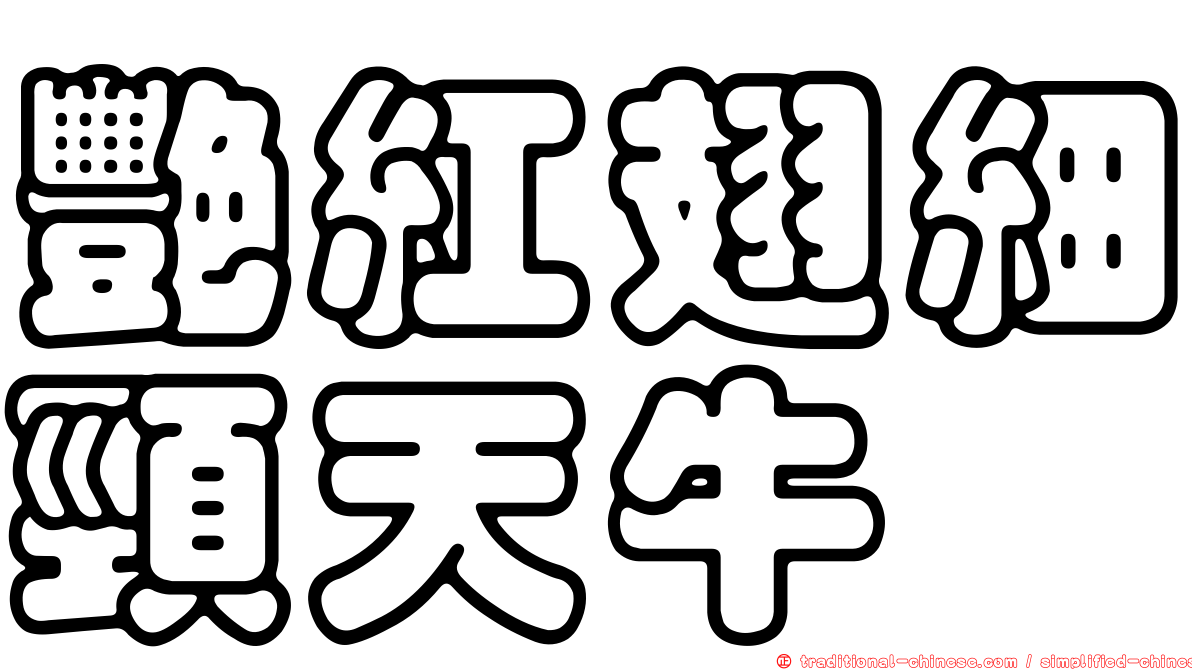 艷紅翅細頸天牛