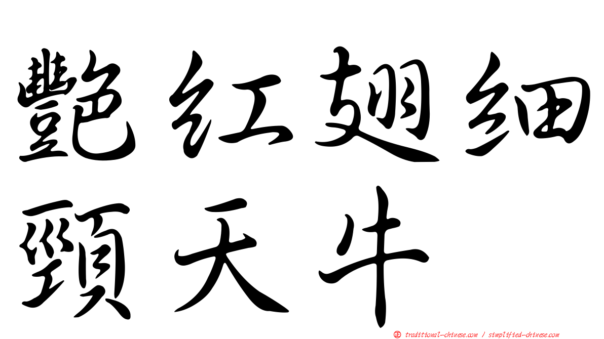艷紅翅細頸天牛