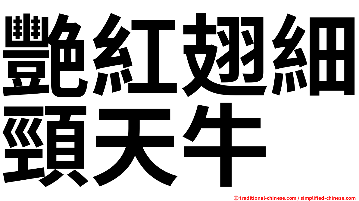 艷紅翅細頸天牛