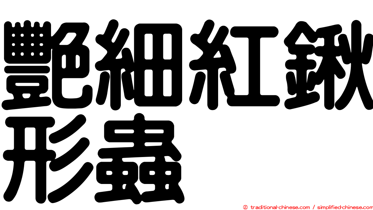 艷細紅鍬形蟲