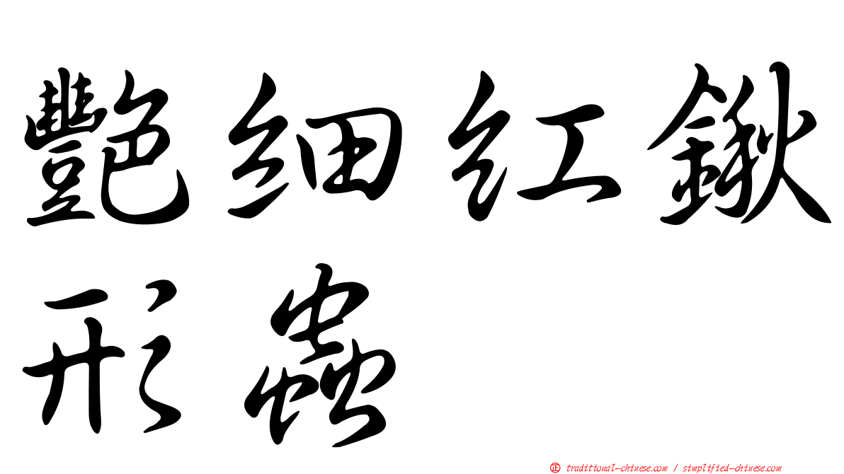 艷細紅鍬形蟲