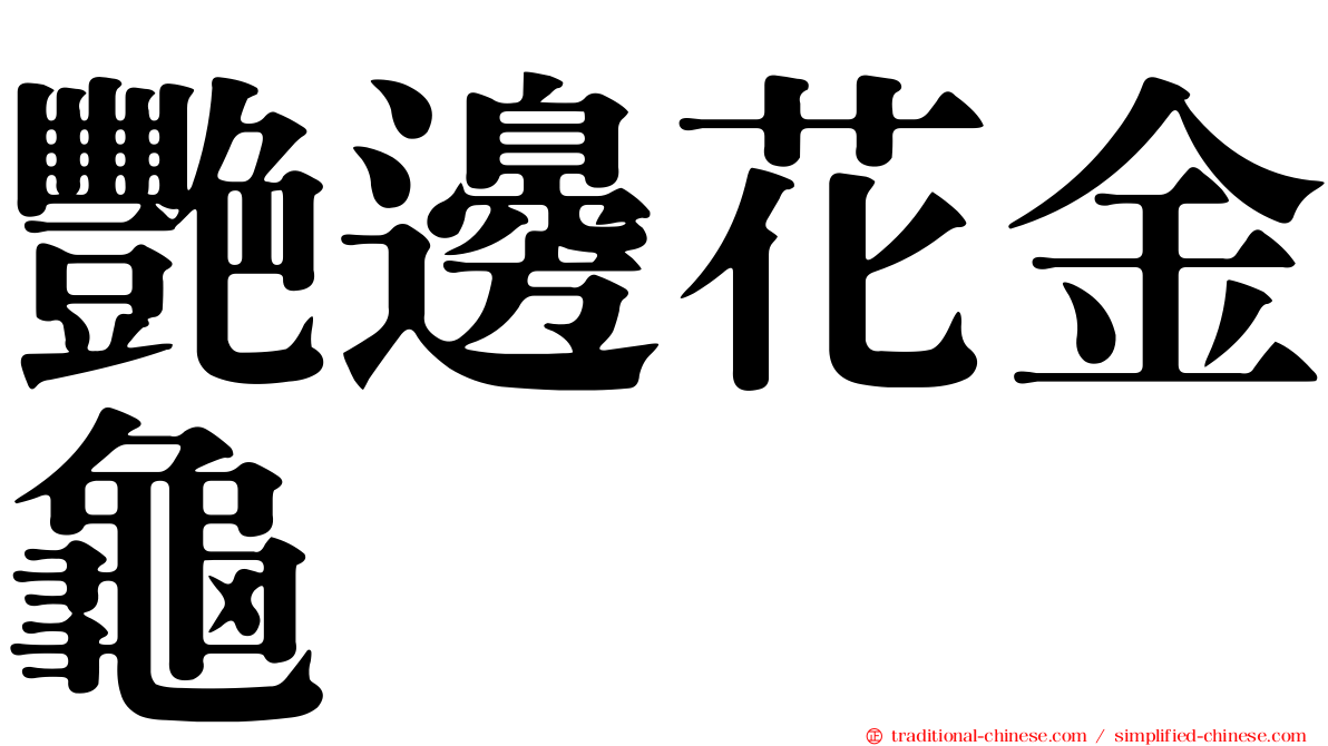 艷邊花金龜