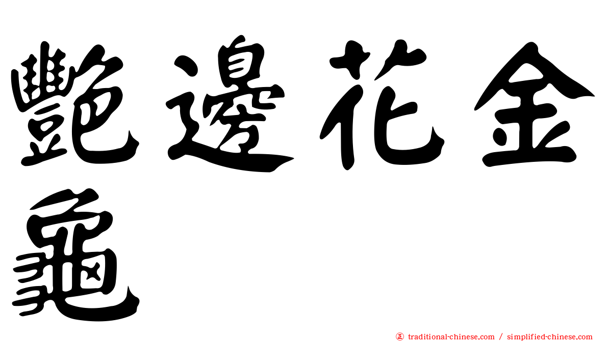 艷邊花金龜