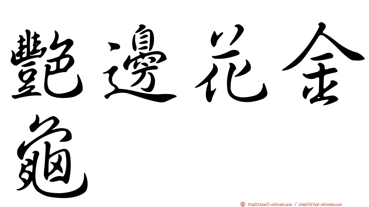 艷邊花金龜