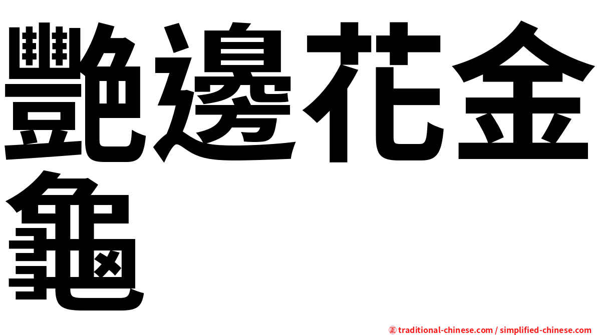 艷邊花金龜