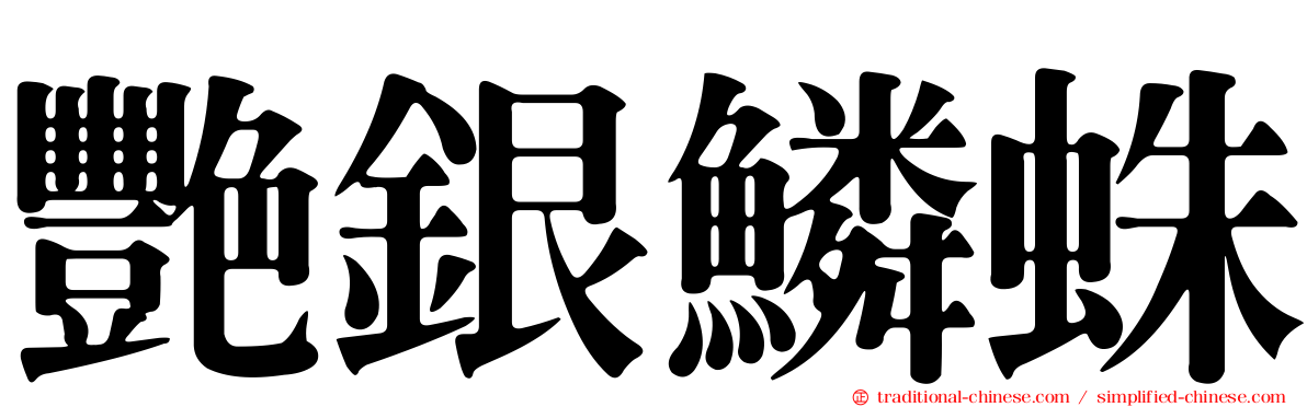 艷銀鱗蛛