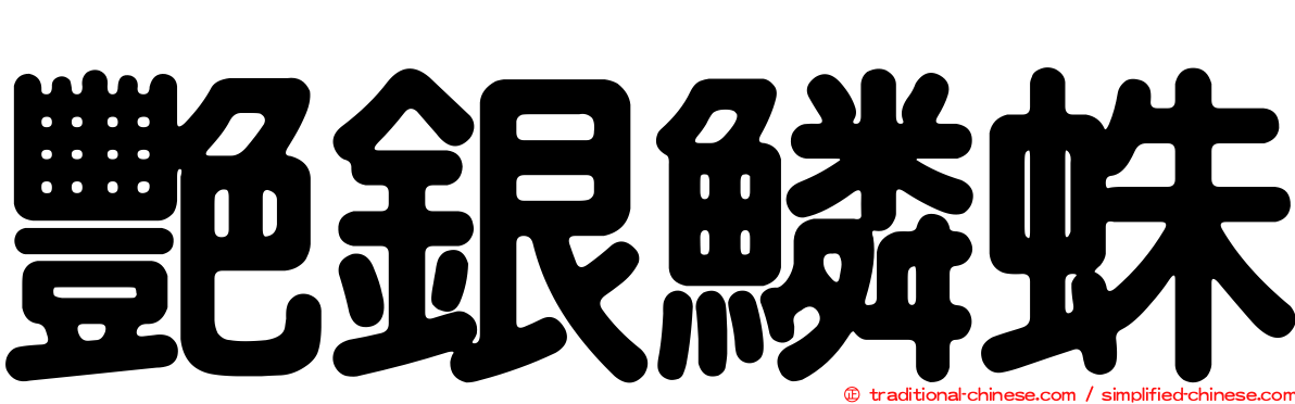 艷銀鱗蛛