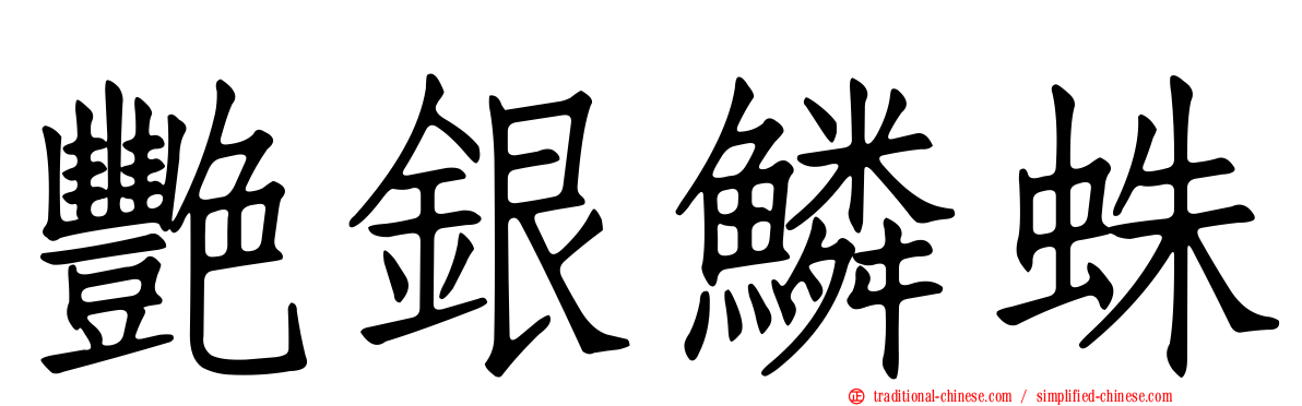 艷銀鱗蛛