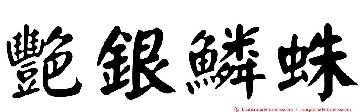 艷銀鱗蛛