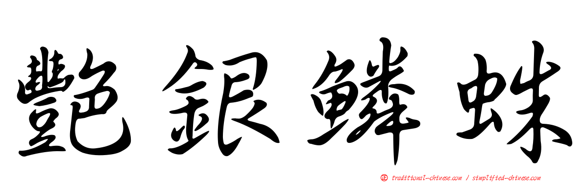艷銀鱗蛛