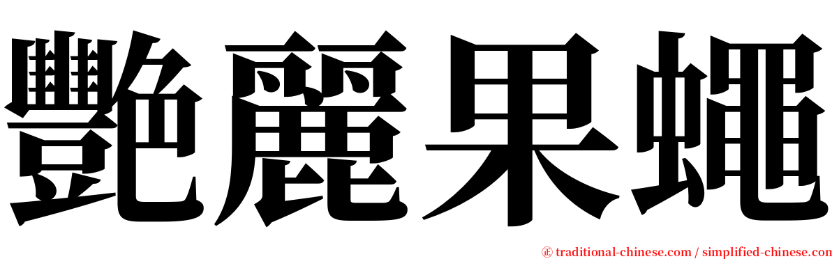 艷麗果蠅 serif font